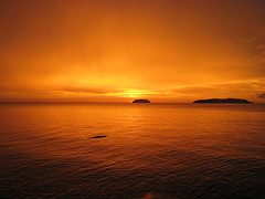 Orange sunset Orange sunset